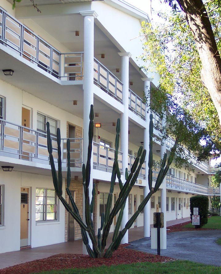 911 Washington Ave. SW #118